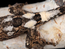 Load image into Gallery viewer, [ID:P8TZOV]
