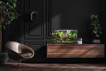 Load image into Gallery viewer, [ID:GNWZS5]
