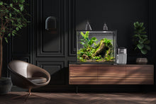 Load image into Gallery viewer, [ID:JABZSA]
