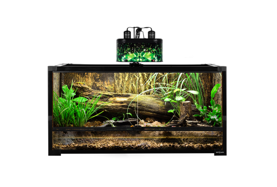 ReptiZoo Easy-Folding Knock-Down Glass Terrarium with PVC Backing  **COURIER SHIPPABLE**