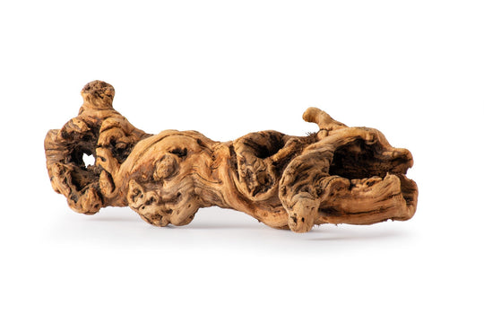 Galapgos Burrow Wood, Grapevine Hollow Branch 19 - 24 Inches