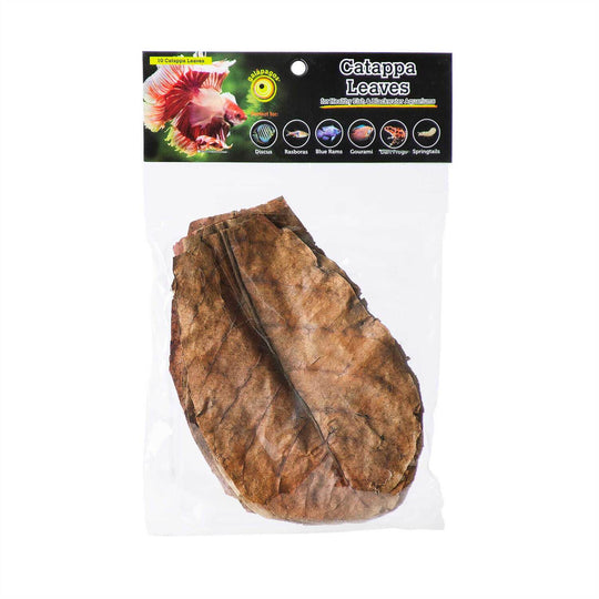 Galapagos Catappa Leaves, Natural 10 pc