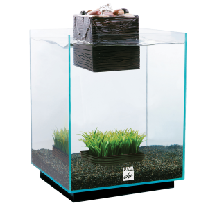 Fluval Chi 5 Gallon Desktop Aquarium