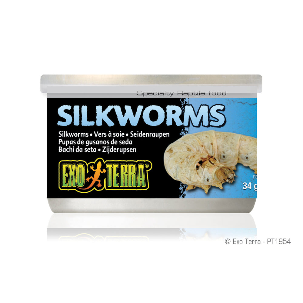 Exo Terra Canned Silkworms (Pupea) - 34 g (1.2 oz)
