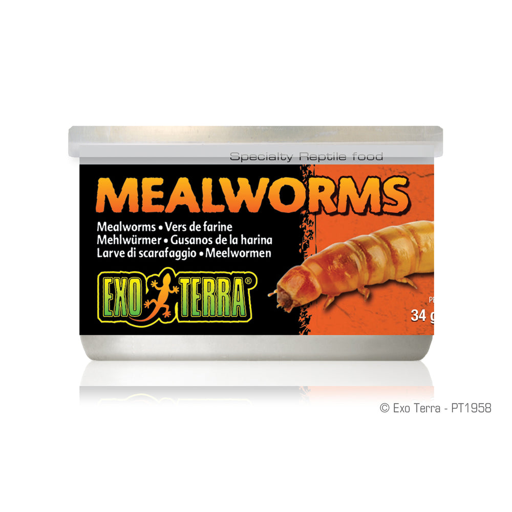 Exo Terra Canned Mealworms - 34 g (1.2 oz)