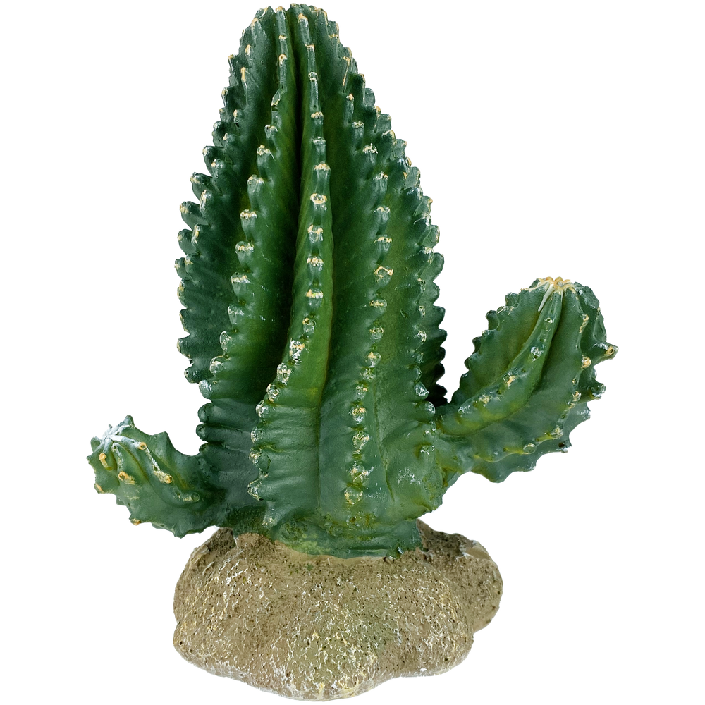 Komodo Columnar Cactus 5.9