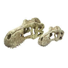 Load image into Gallery viewer, Komodo T-Rex Skull
