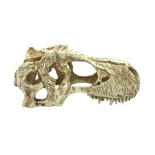 Load image into Gallery viewer, Komodo T-Rex Skull
