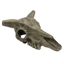 Load image into Gallery viewer, Komodo Deer Skull
