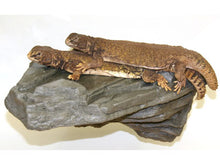 Load image into Gallery viewer, MagNaturals Rock Ledge (Granite Colour)
