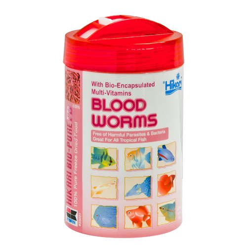Hikari Bio-Pure Freeze Dried Blood Worms 0.42 oz.