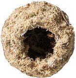 Load image into Gallery viewer, Galapagos Mossy Cave, 4&quot; Diameter for Hiding and Humidity
