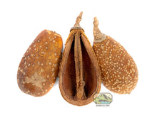 Load image into Gallery viewer, NewCal Pear Pods, 1.5oz
