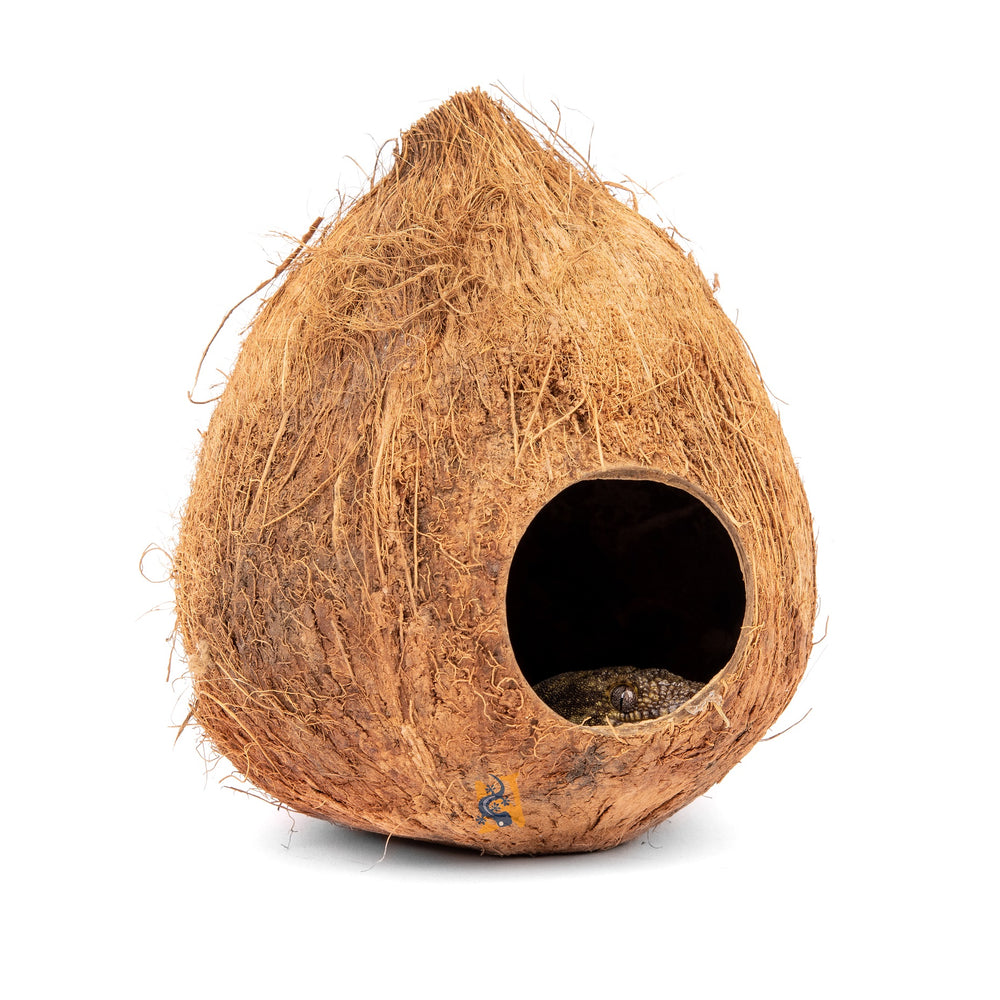 AquaGlobe Coconut Shell Hide