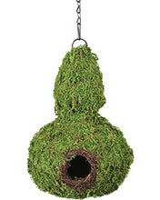 Load image into Gallery viewer, Galapagos Gourd Woven Moss Reptile Hide \ Bird House 7.5&quot; x 12&quot; with Installation Chain
