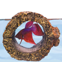 Load image into Gallery viewer, Zoo Med Floating Betta Log
