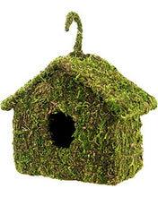 Load image into Gallery viewer, Galapagos Maison Mossy Reptile Hide \ Bird House 7&quot; x 7&quot;
