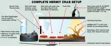 Load image into Gallery viewer, Zoo Med ReptiHabitat Hermit Crab Kit, 10 Gallon
