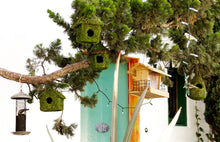 Load image into Gallery viewer, Galapagos Shack Vined Roof Mossy Reptile Hide \ Bird House 6&quot; x 8&quot;
