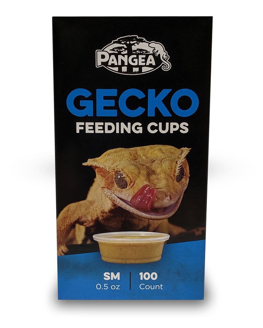 Pangea Feeding Cups 0.5oz (100 Pack)