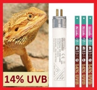 Load image into Gallery viewer, Arcadia T5 HO Dragon Lamp 14% UVB Bulb
