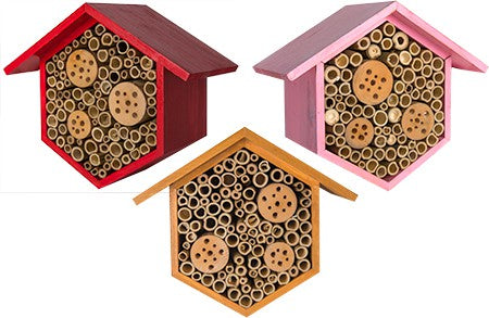 Beneficial Bug House, Hibiscus