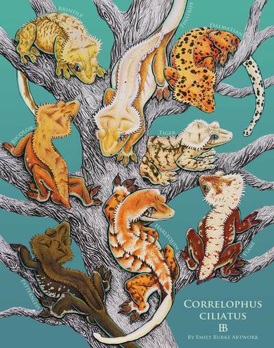 Crested Gecko Print by Emily Burke Artwork