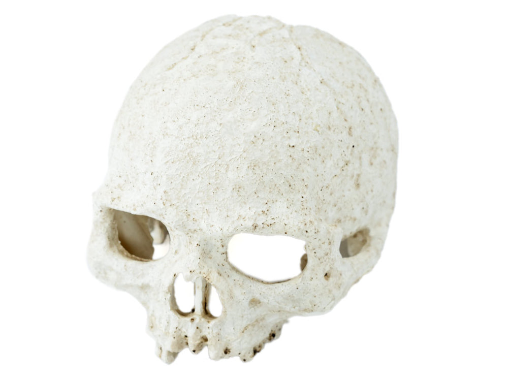 Pangea Human Skull Cave