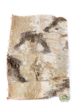 Load image into Gallery viewer, NewCal Birch Bark Sheet
