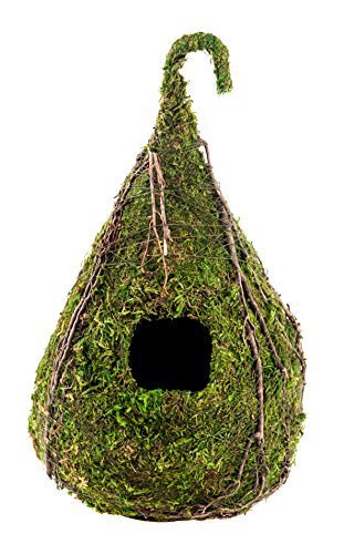 Galapagos Vined Raindrop Mossy Reptile Hide \ Bird House 6