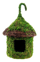 Load image into Gallery viewer, Galapagos Rimmed Bungalow Mossy Hide \ Bird House 6&quot; x 7&quot;
