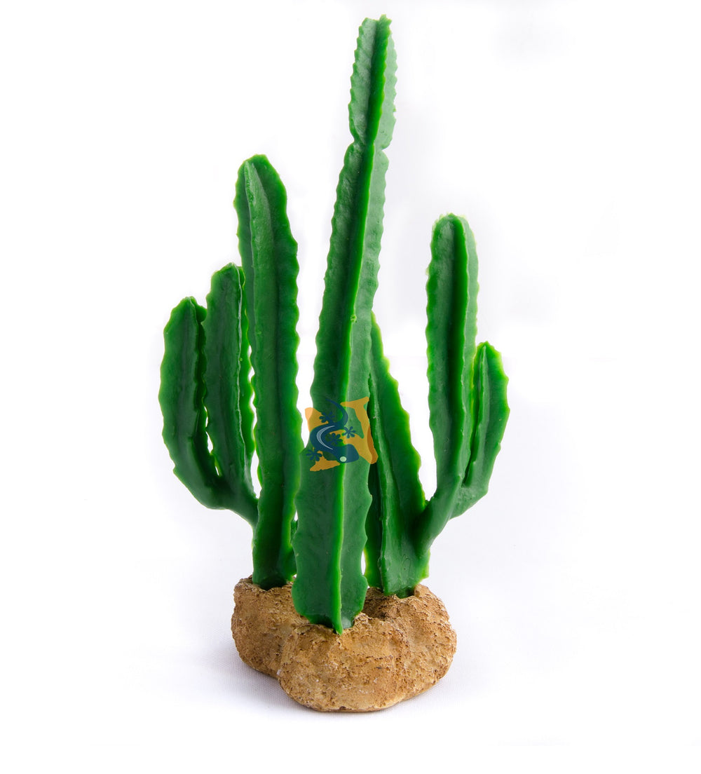 AquaGlobe Sunrise Cactus