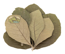 Load image into Gallery viewer, NewCal Teak Leaves, 10 Pack
