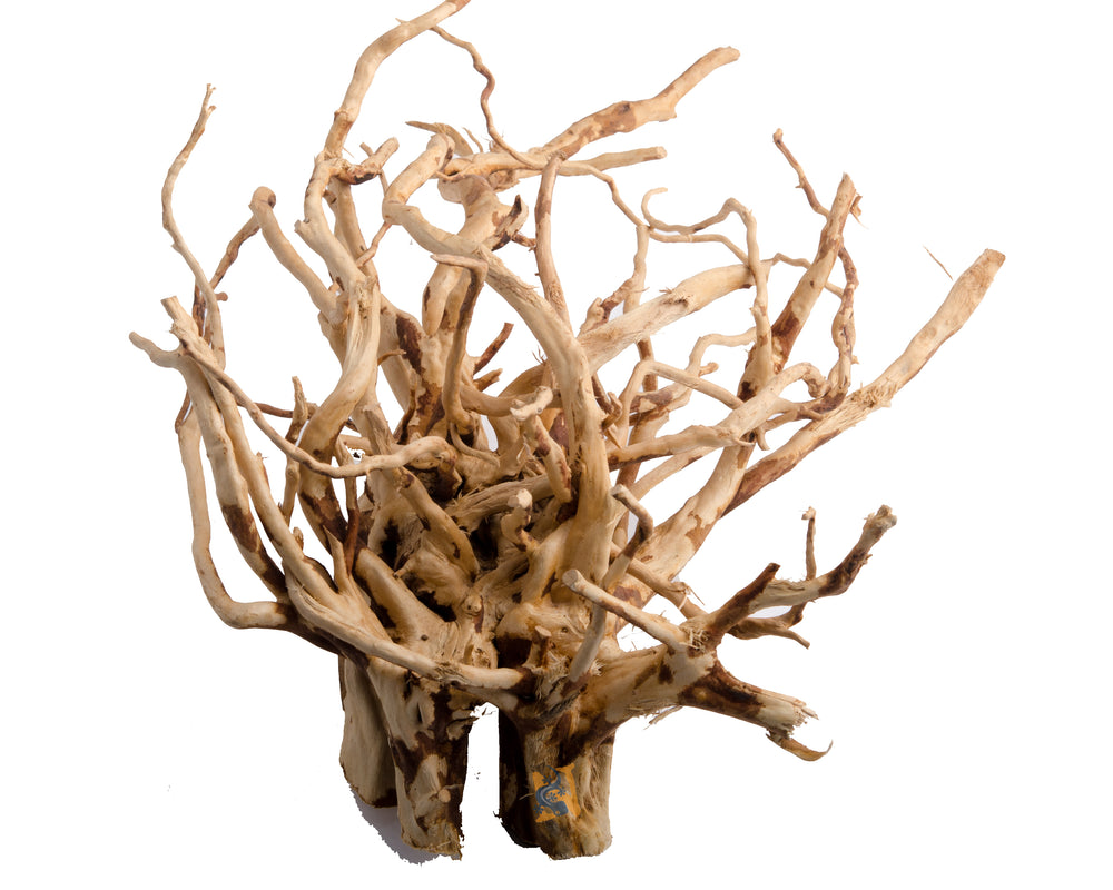 Terrarium Wood Root
